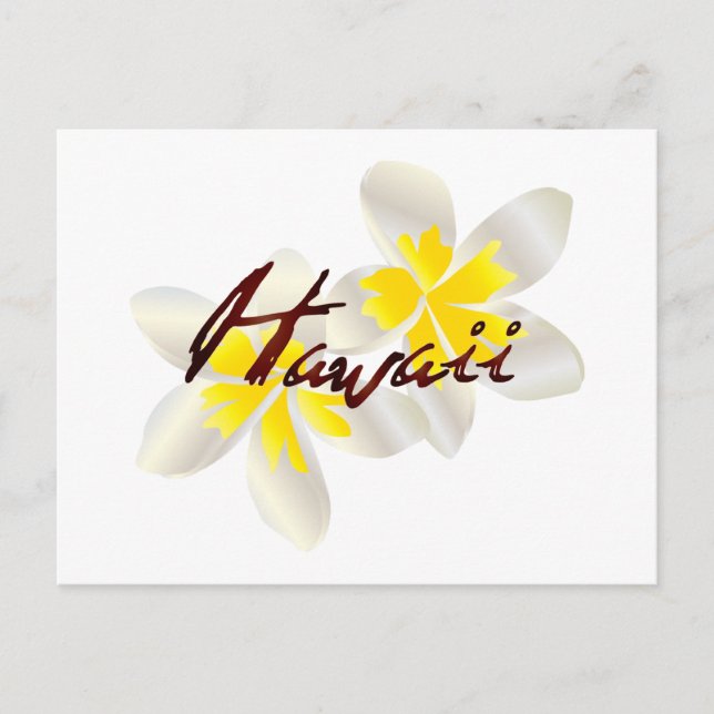 Hawaii Plumeria Flowers Vykort (Framsida)