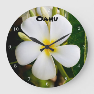 Hawaii Plumeria Stor Klocka