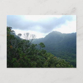 Hawaii Postcard Scene1 Vykort