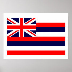 HAWAII POSTER