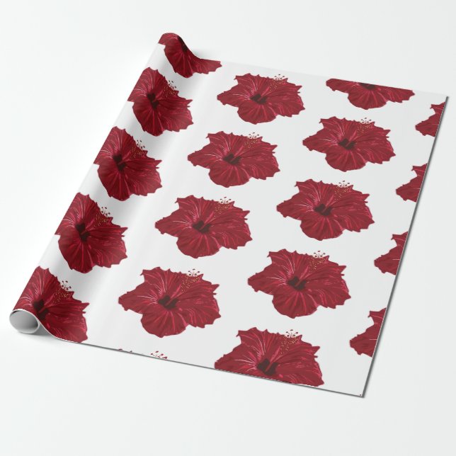 Hawaii Presentpapper (Utrullad)