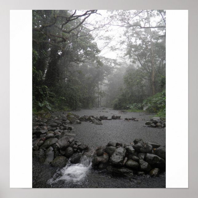 Hawaii Rain Poster (Framsidan)