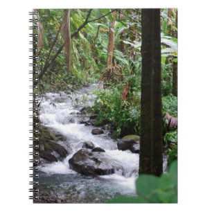 Hawaii Rainforest Anteckningsbok Med Spiral