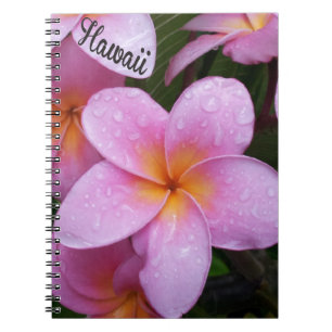 Hawaii Rosa Plumeria Blommor Anteckningsbok Med Spiral