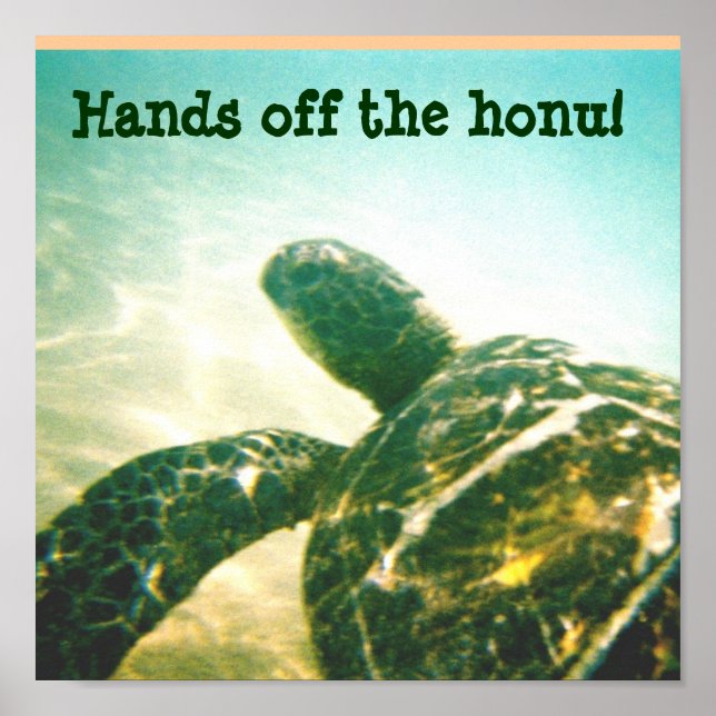 Hawaii Sea Turtle Protection Poster (Framsidan)