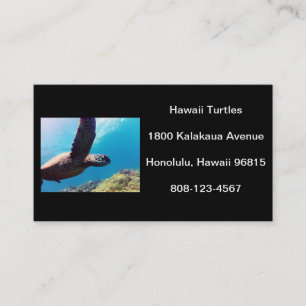Hawaii sköldpadda visitkort