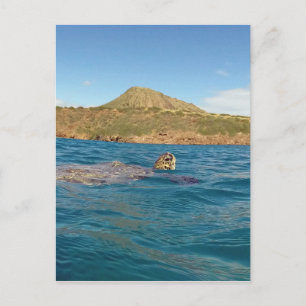 Hawaii sköldpadda vykort