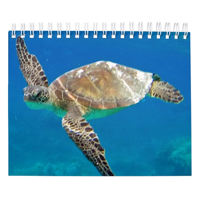 Hawaii sköldpaddakalender kalender (Omslag)