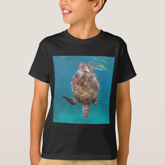 Hawaii sköldpaddasnäcka tee (Framsida)