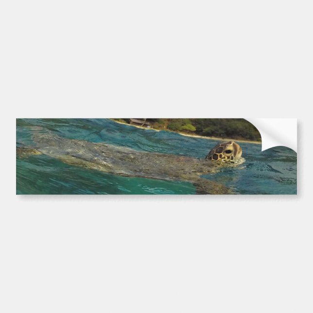 Hawaii sköldpaddor - Honu Bildekal (Framsidan)