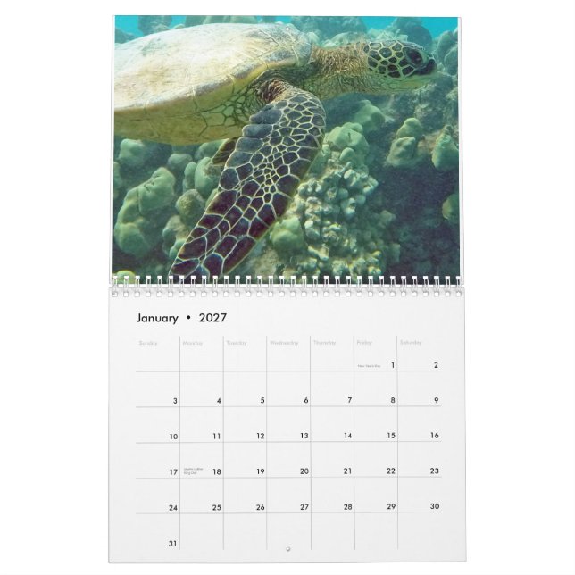 Hawaii sköldpaddor kalender (Jan 2027)