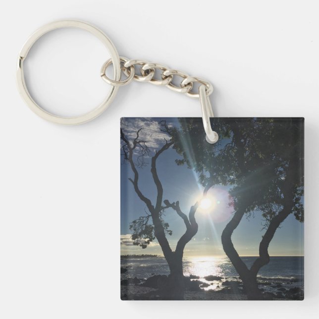 Hawaii Solbelysta Träd Havsstrand Färg Fotografier (Framsidan)
