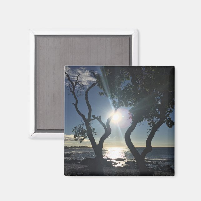 Hawaii Solbelysta Träd Havsstrand Färg Fotografier Magnet (Front/Back)