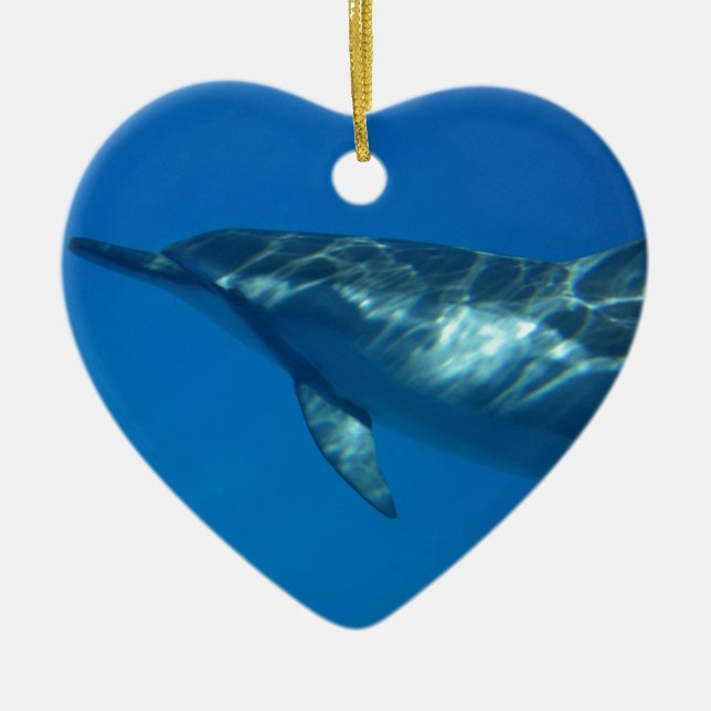 Hawaii Spinner Dolphin Julgransprydnad Keramik (Framsidan)