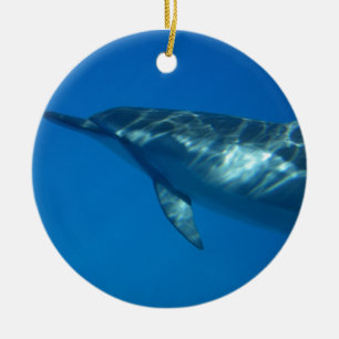 Hawaii Spinnerdelfin Julgransprydnad Keramik