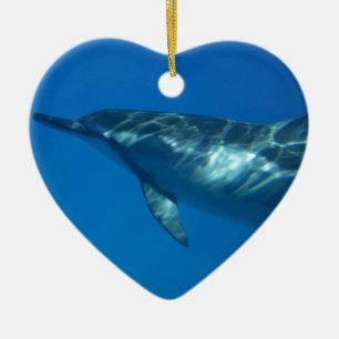 Hawaii Spinnerdelfin Julgransprydnad Keramik