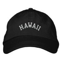 Hawaii State Embroized