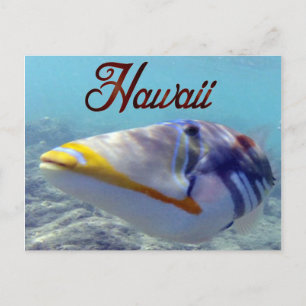 Hawaii State Fish - Humuhumunukunukuapua'a Vykort