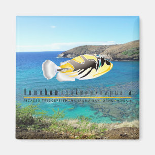Hawaii statlig fisk - Humuhumunukunukuapua'a. Magnet