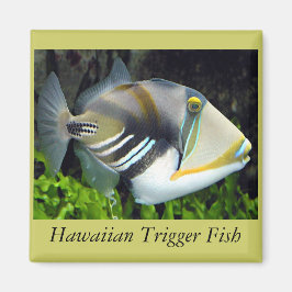 Hawaii, statlig fisk magnet