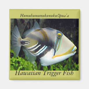 Hawaii, statlig fisk magnet