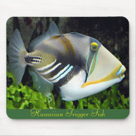 Hawaii, statlig fisk musmatta