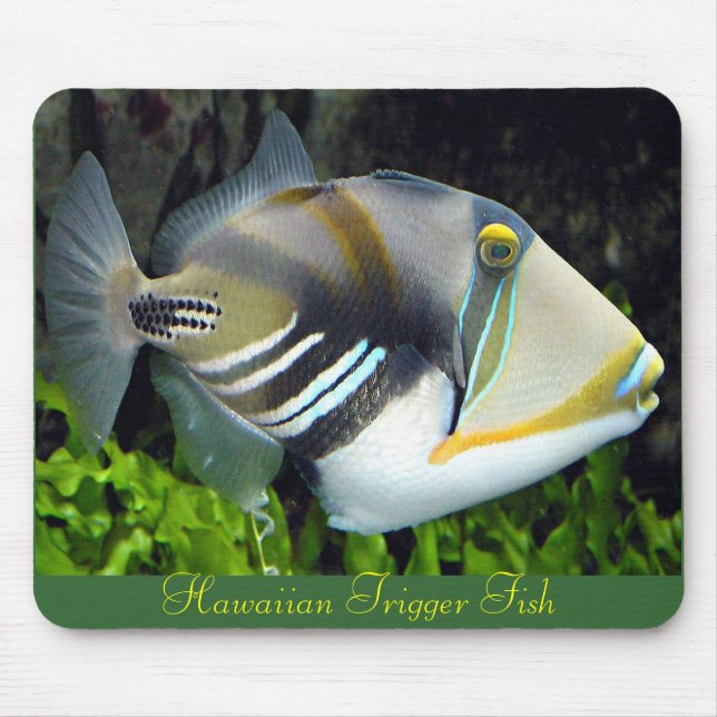 Hawaii, statlig fisk musmatta (Framsidan)