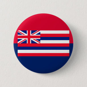 Hawaii Statlig flagga Design Knapp