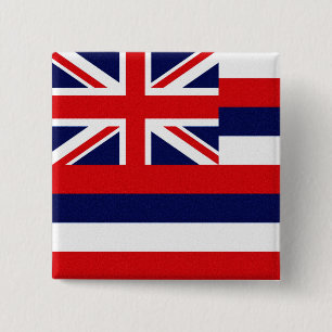 Hawaii Statlig flagga Knapp