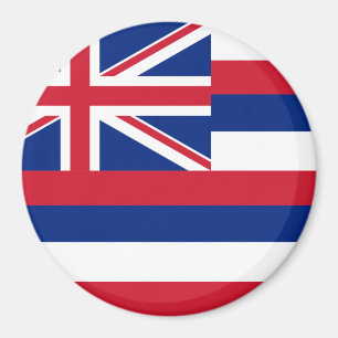 Hawaii statlig flagga magnet