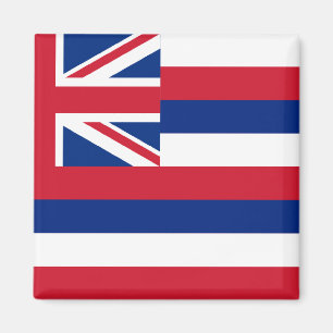 Hawaii statlig flagga magnet