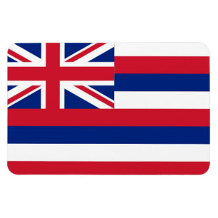Hawaii statlig flagga magnet