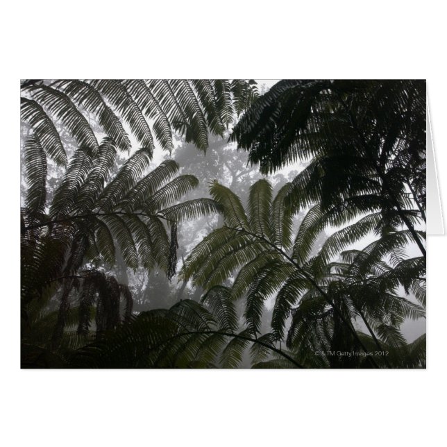 Hawaii stor ö, Hawaii vulkanermedborgare Hälsningskort (Framsidan Horizontal)