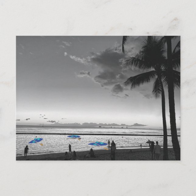 Hawaii Strand och Palmträd vykort (Framsida)