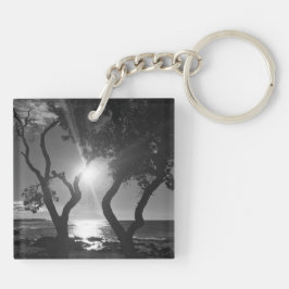 Hawaii Sunlit Träd Ocean Shore Black and White