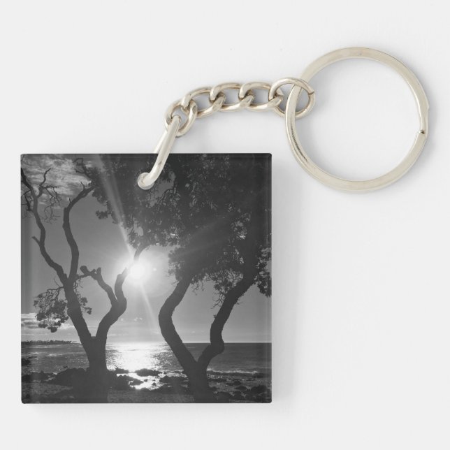 Hawaii Sunlit Träd Ocean Shore Black and White (Baksidan)