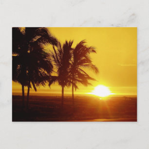 Hawaii Sunset-vykort Vykort