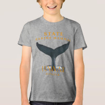 Hawaii Territorium Marine Mammal the Humpback Whal