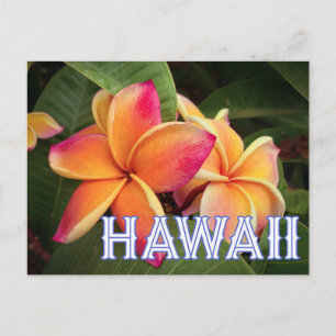 Hawaii Travel Postcard Vykort