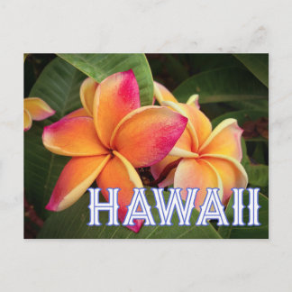 Hawaii Travel Postcard Vykort