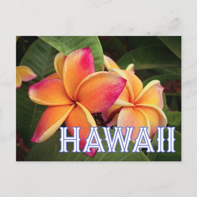  Hawaii Travel Postcard  Vykort (Framsida)