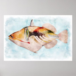 Hawaii Triggerfish Watercolor Poster