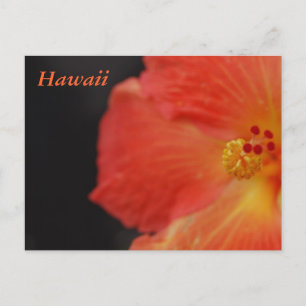 Hawaii Tropical Flower Vykort