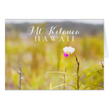 Hawaii Tropical Orchid Vulkaners nationalpark