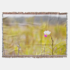 Hawaii Tropical Orchid Vulkaners nationalpark Mysfilt