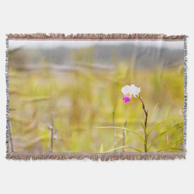 Hawaii Tropical Orchid Vulkaners nationalpark Mysfilt (Framsidan)