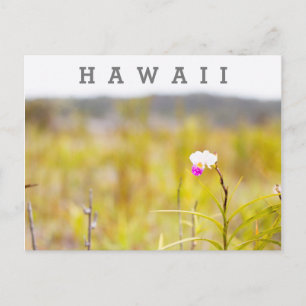 Hawaii Tropical Orchid Vulkaners nationalpark Vykort