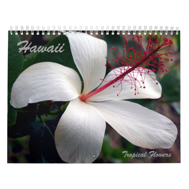 Hawaii tropisk blommakalender kalender (Omslag)