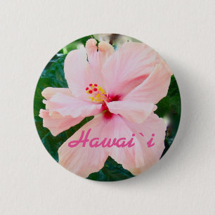Hawaii tropisk rosablomma knapp