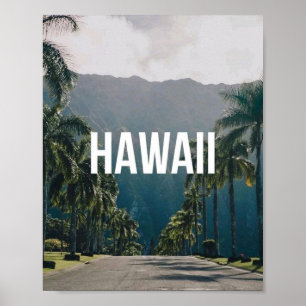 Hawaii Tropiska Palmer Estetisk Väggkonst